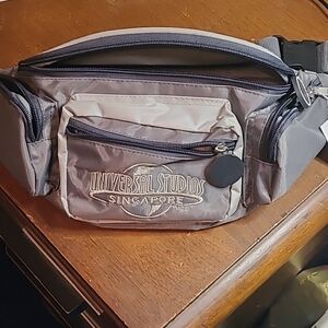 Universal Gray Belt Bag with Metallic Finish and Multi-Compartment Design
